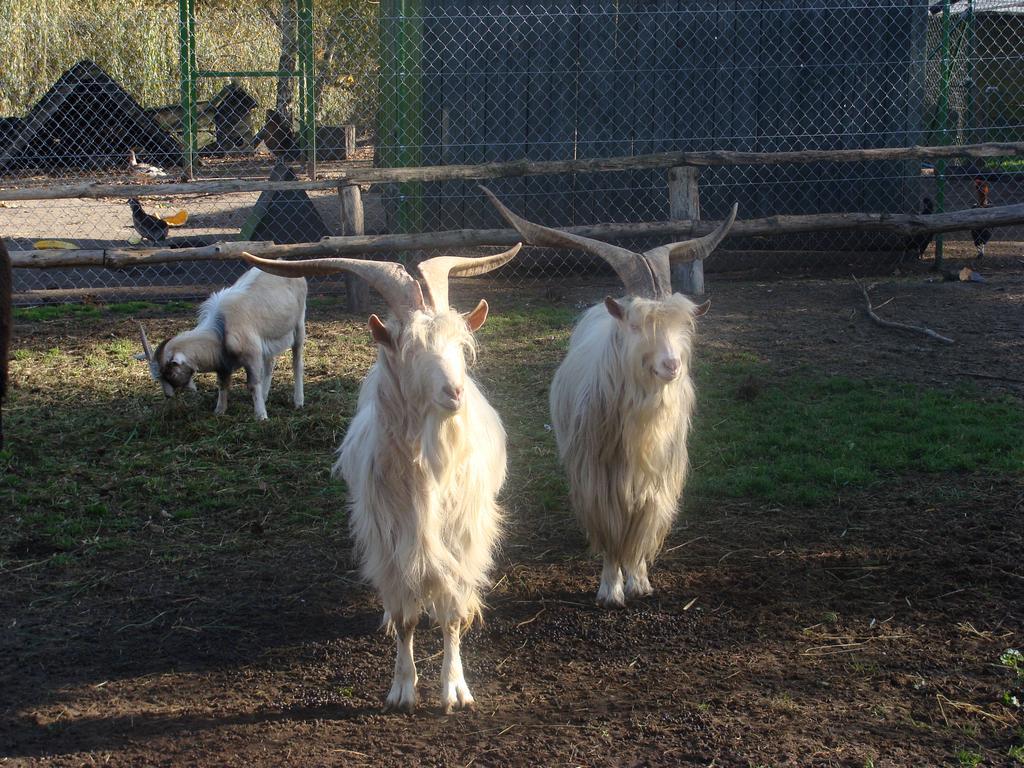 Agroturismo Ania I Filip *